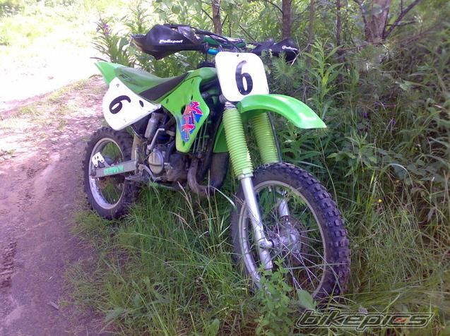 Photo 1446423