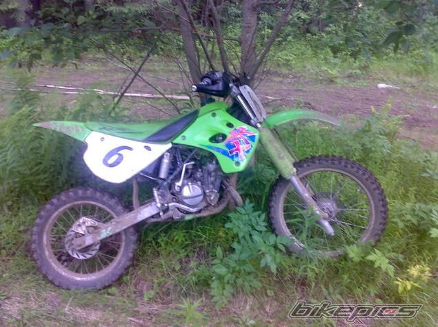 Photo 1446424