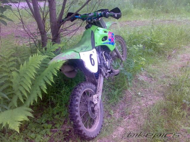 Photo 1446432