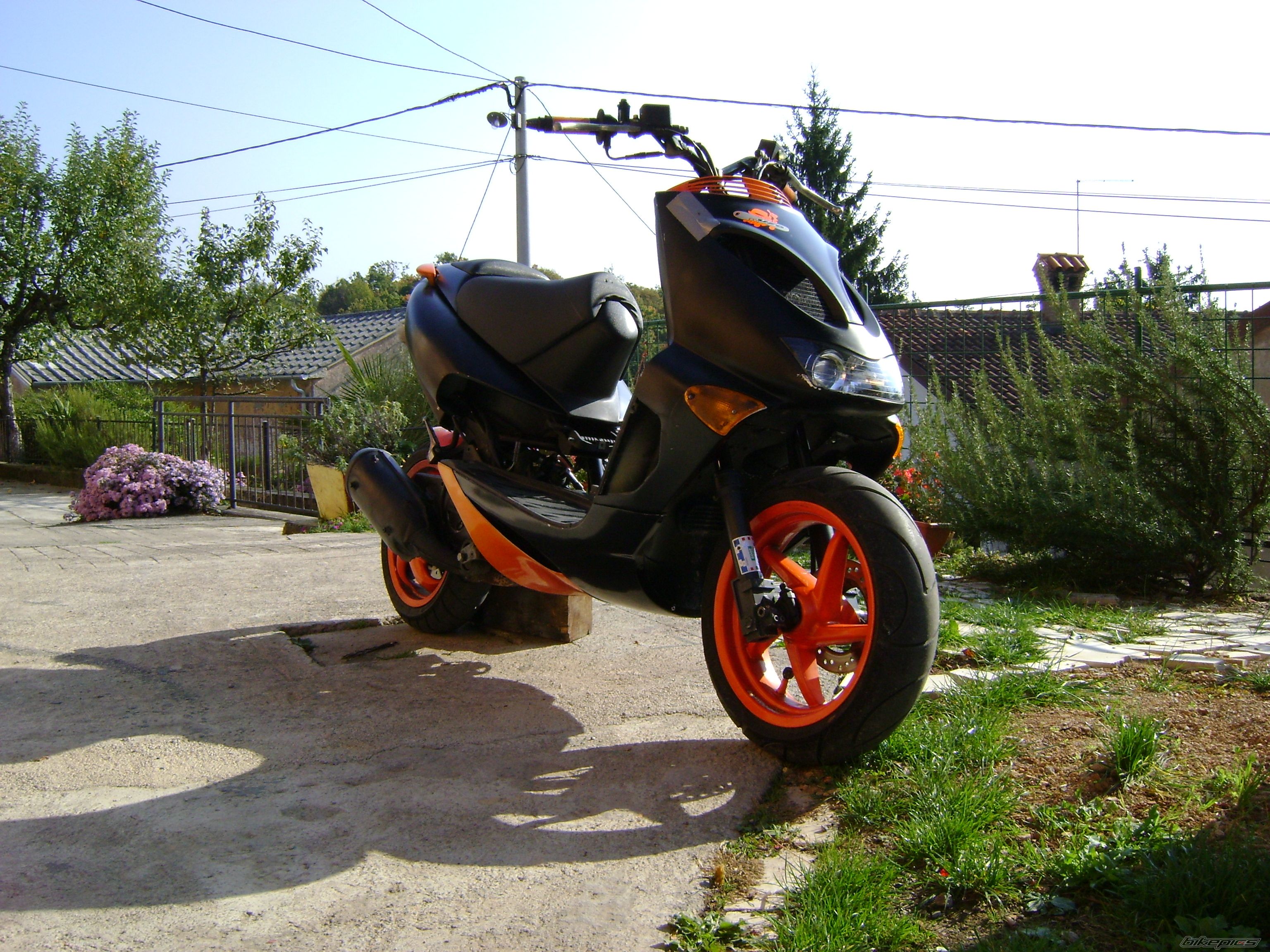 Photo 1446442