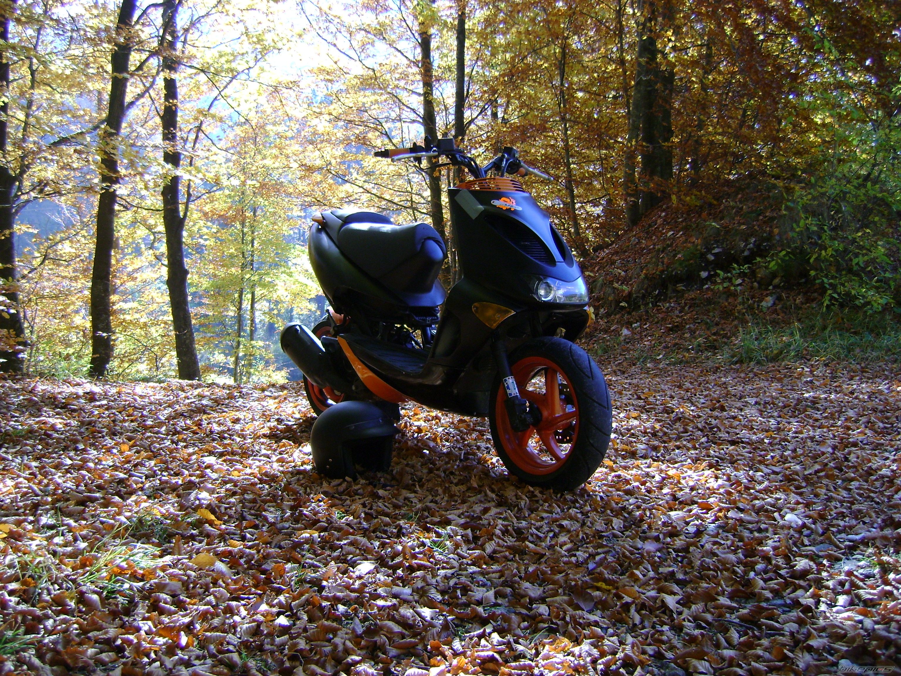 Photo 1446445