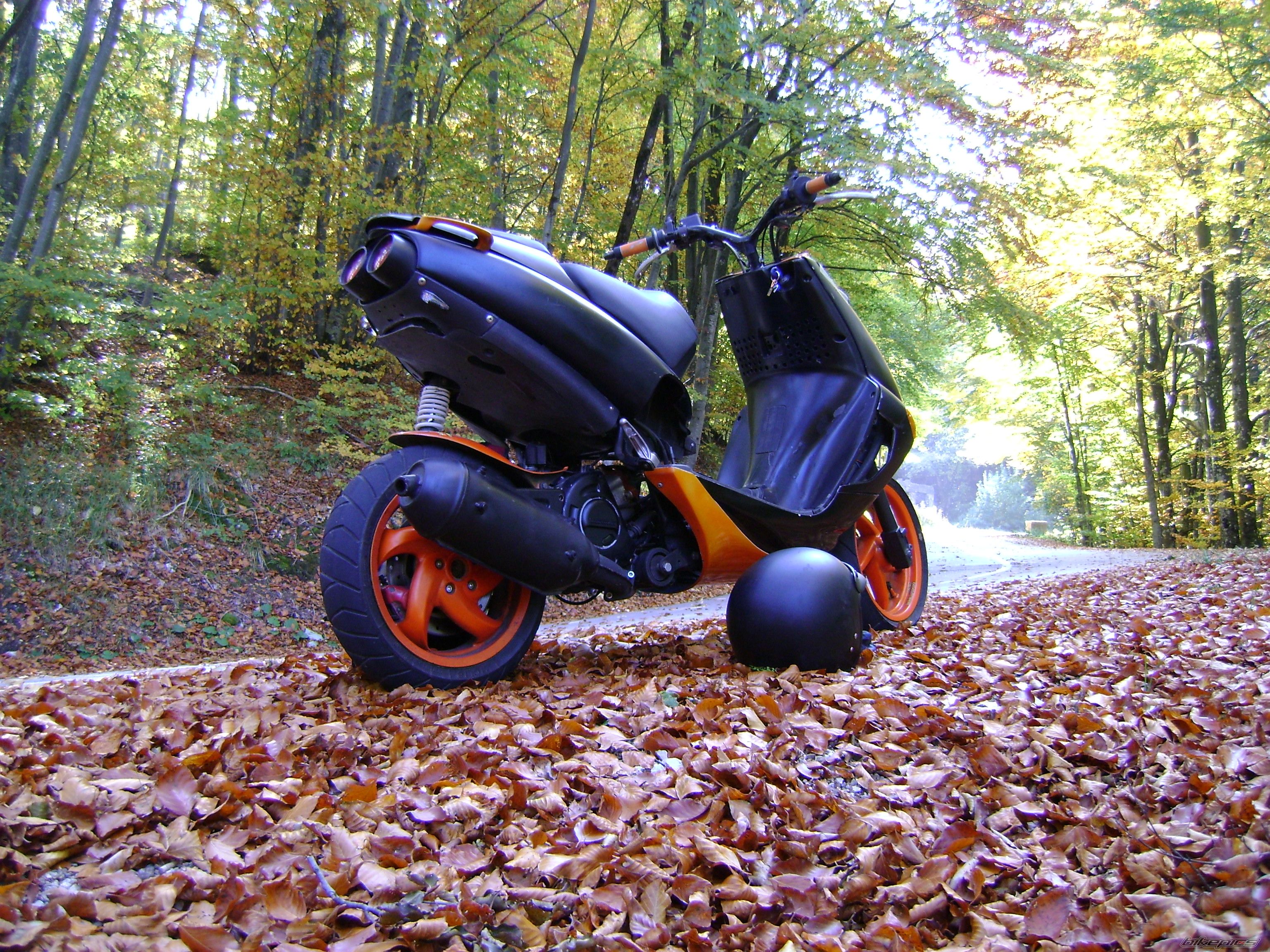 Photo 1446447