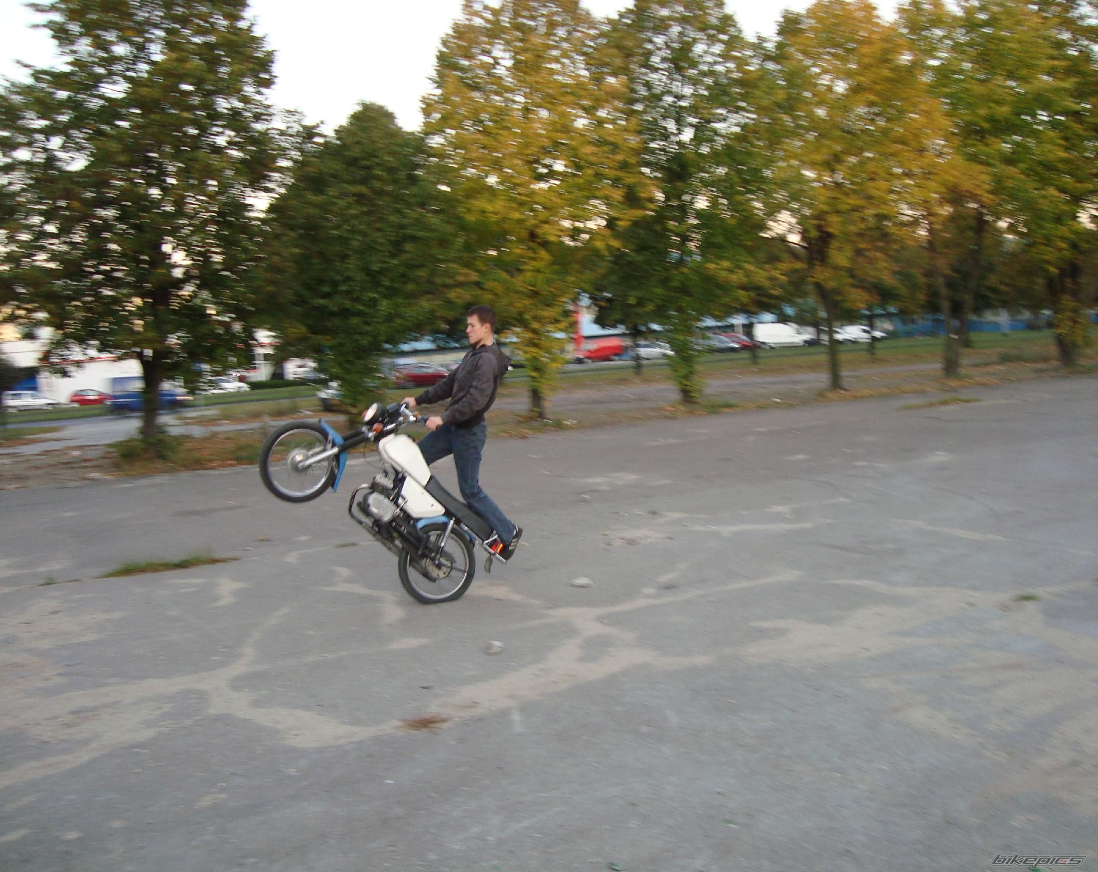 Photo 1446466