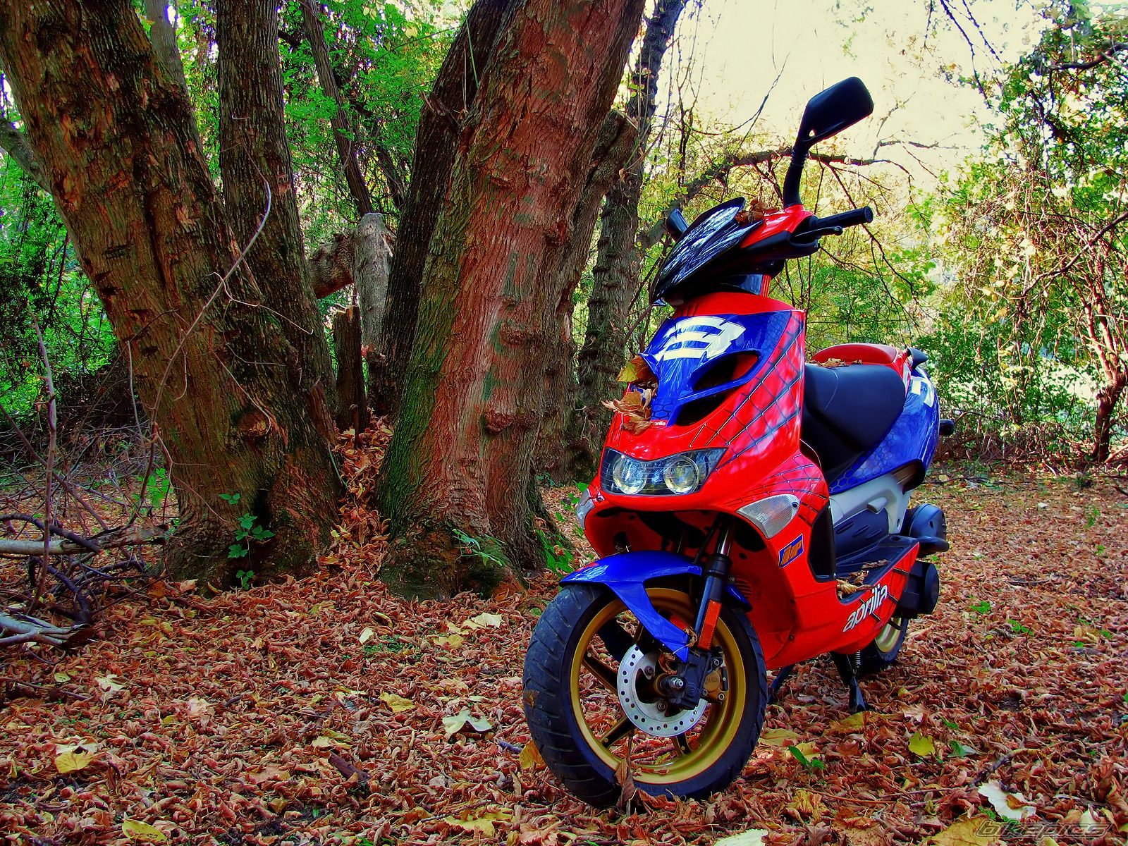 Bike Photo 1446470