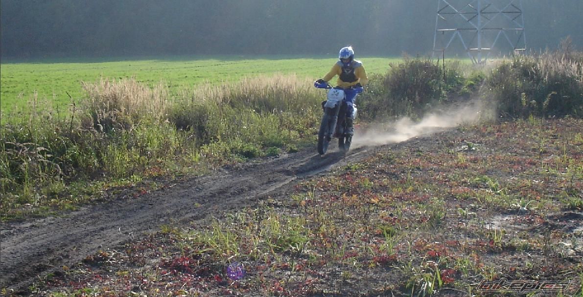 Photo 1446487