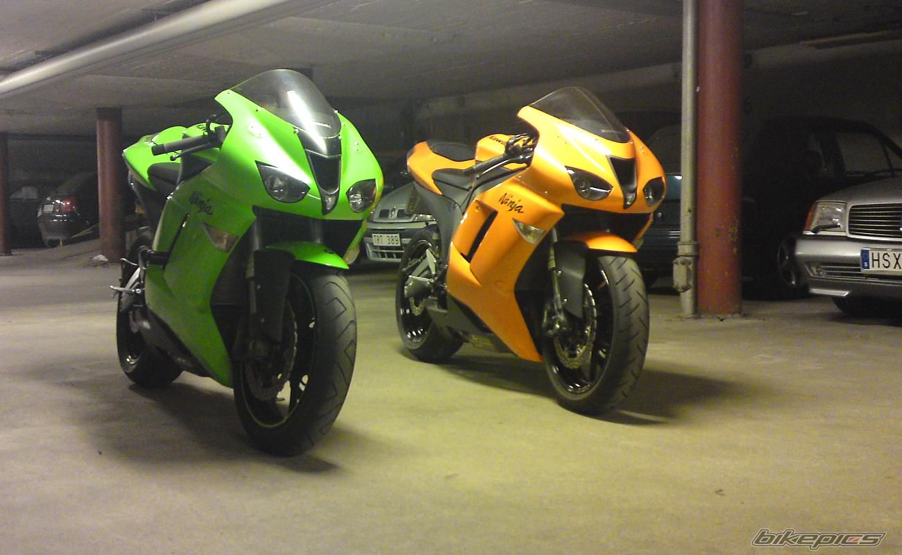 Photo 1446493