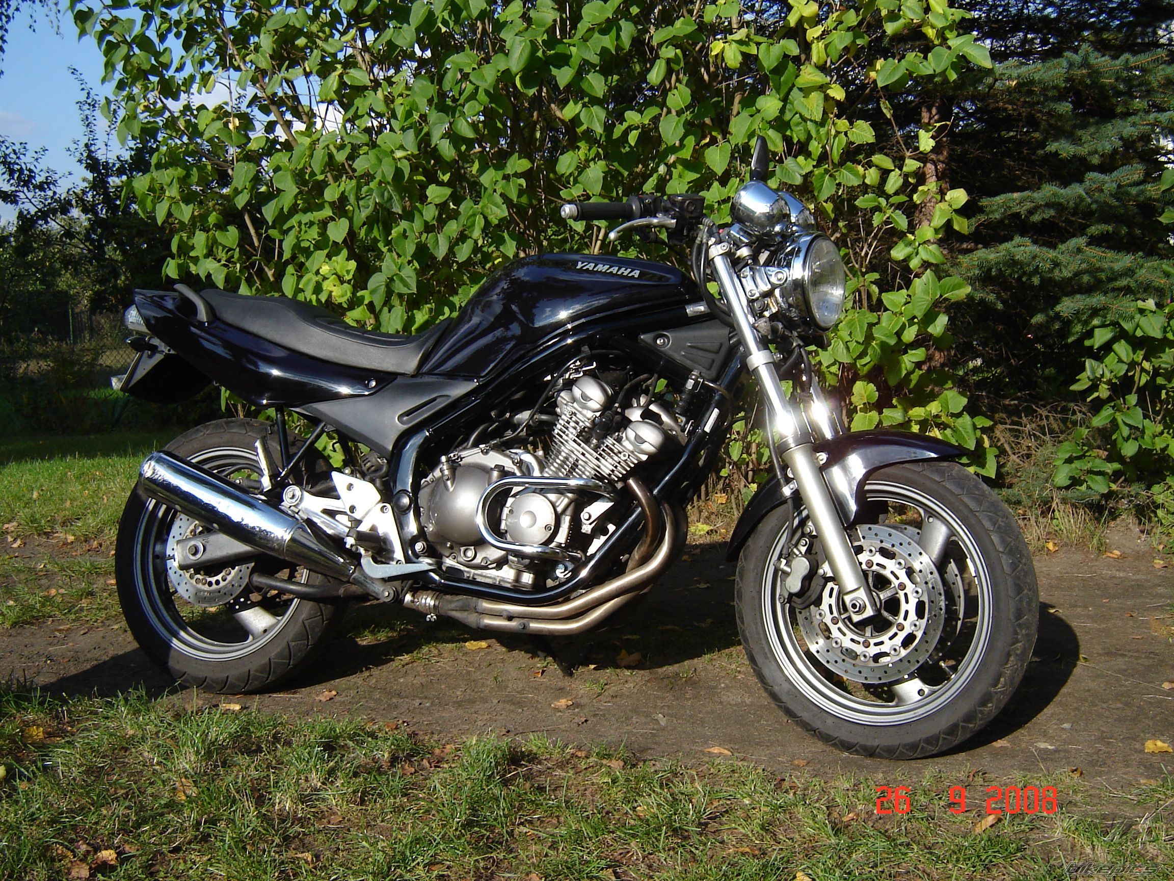 Photo 1446499