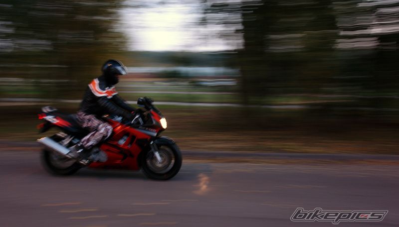 Photo 1446517