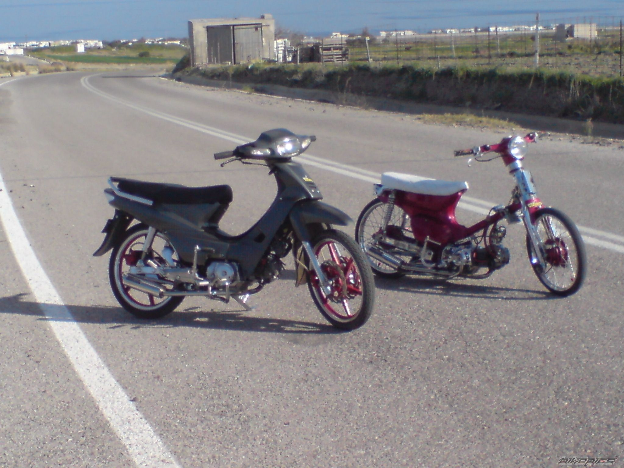 Photo 1446536