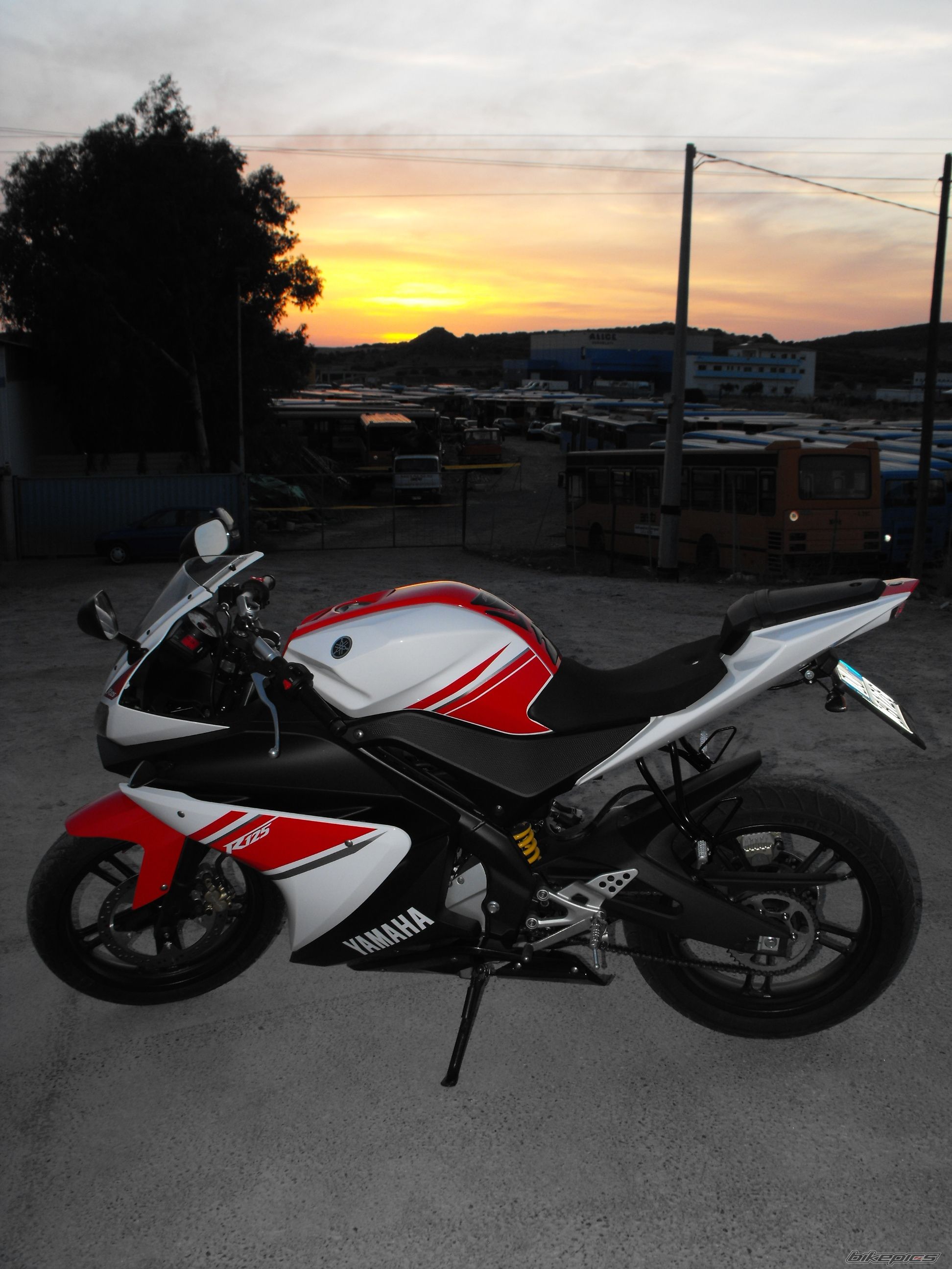 Photo 1446577