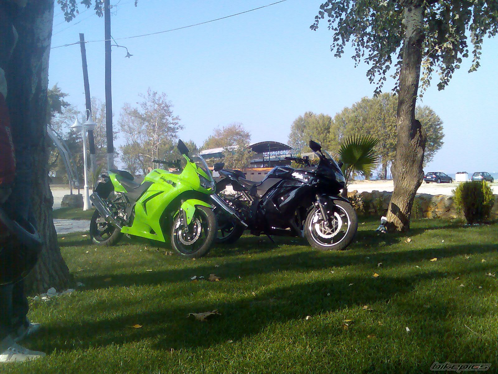 Bike Photo 1446584
