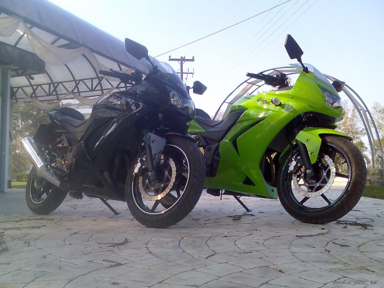Bike Photo 1446591
