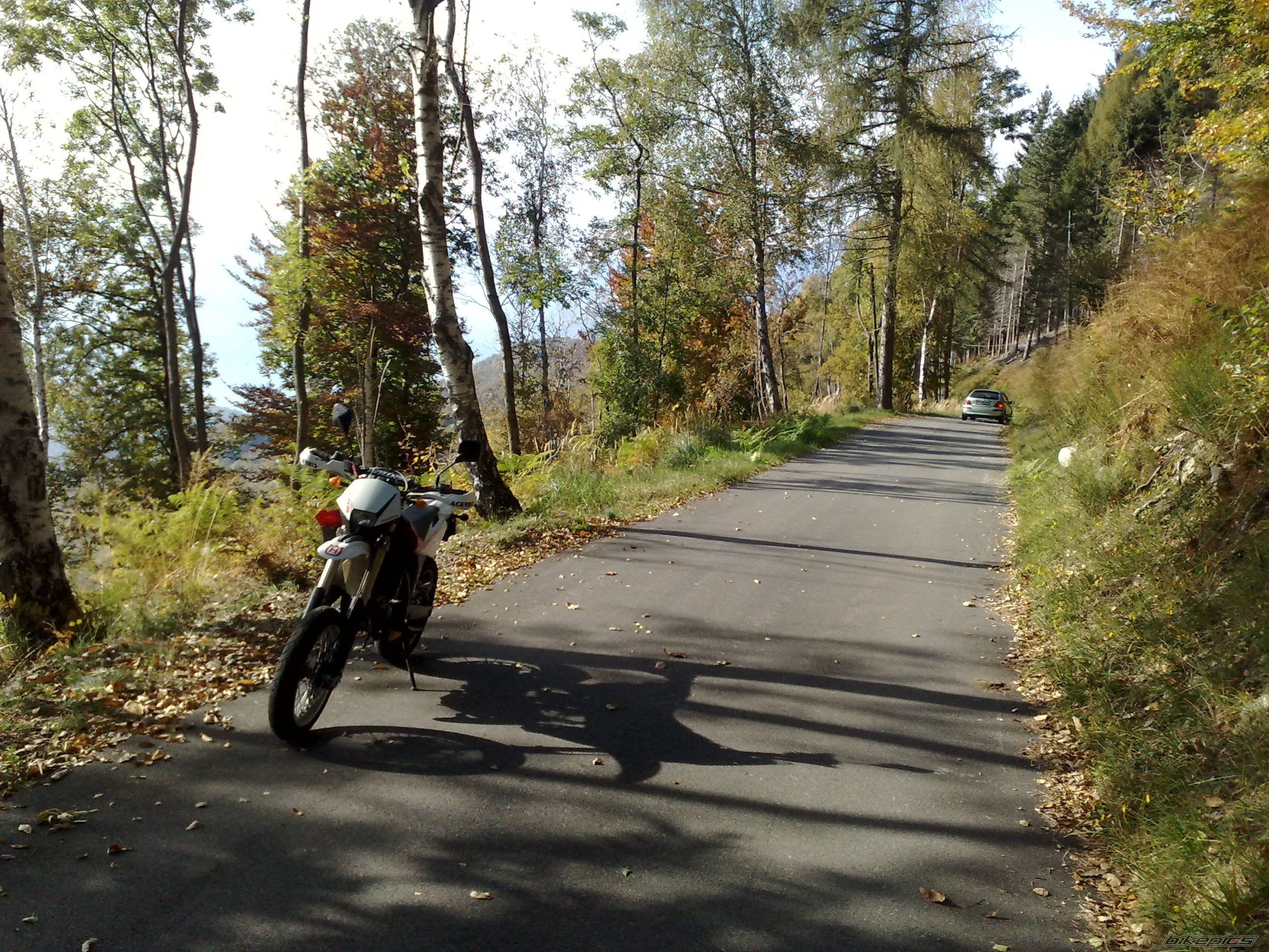 Photo 1446610
