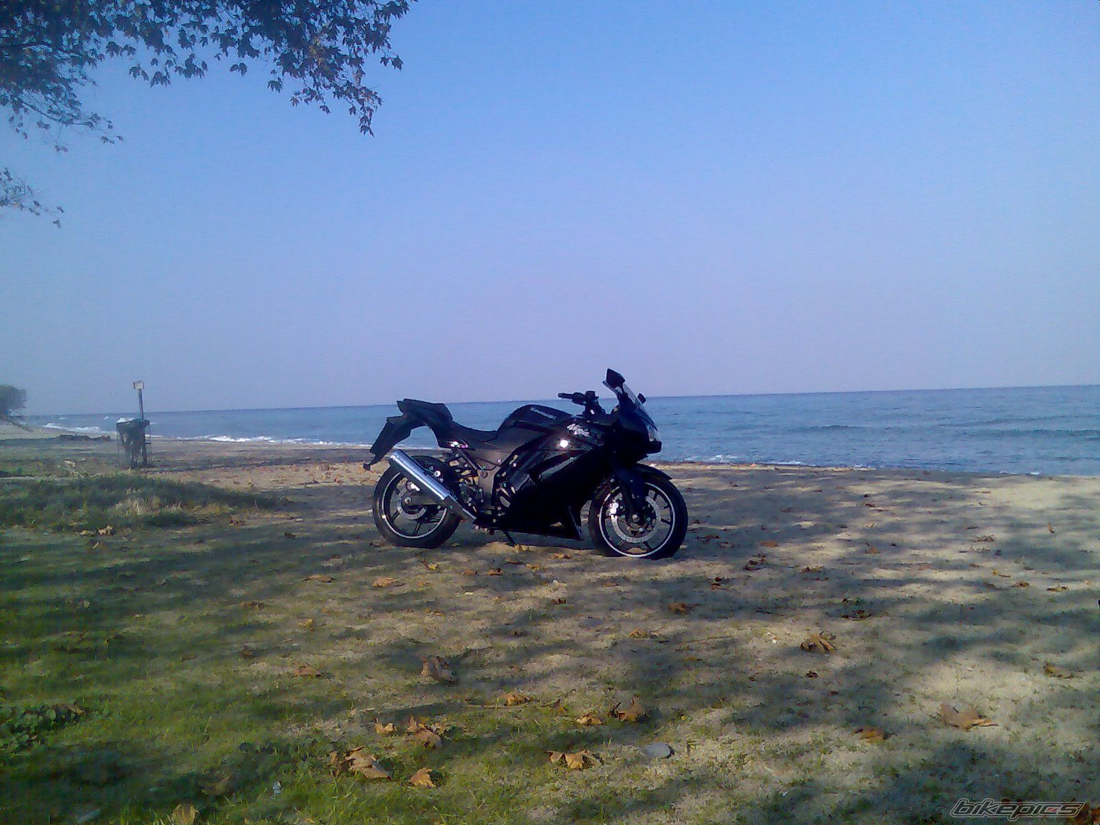 Bike Photo 1446611
