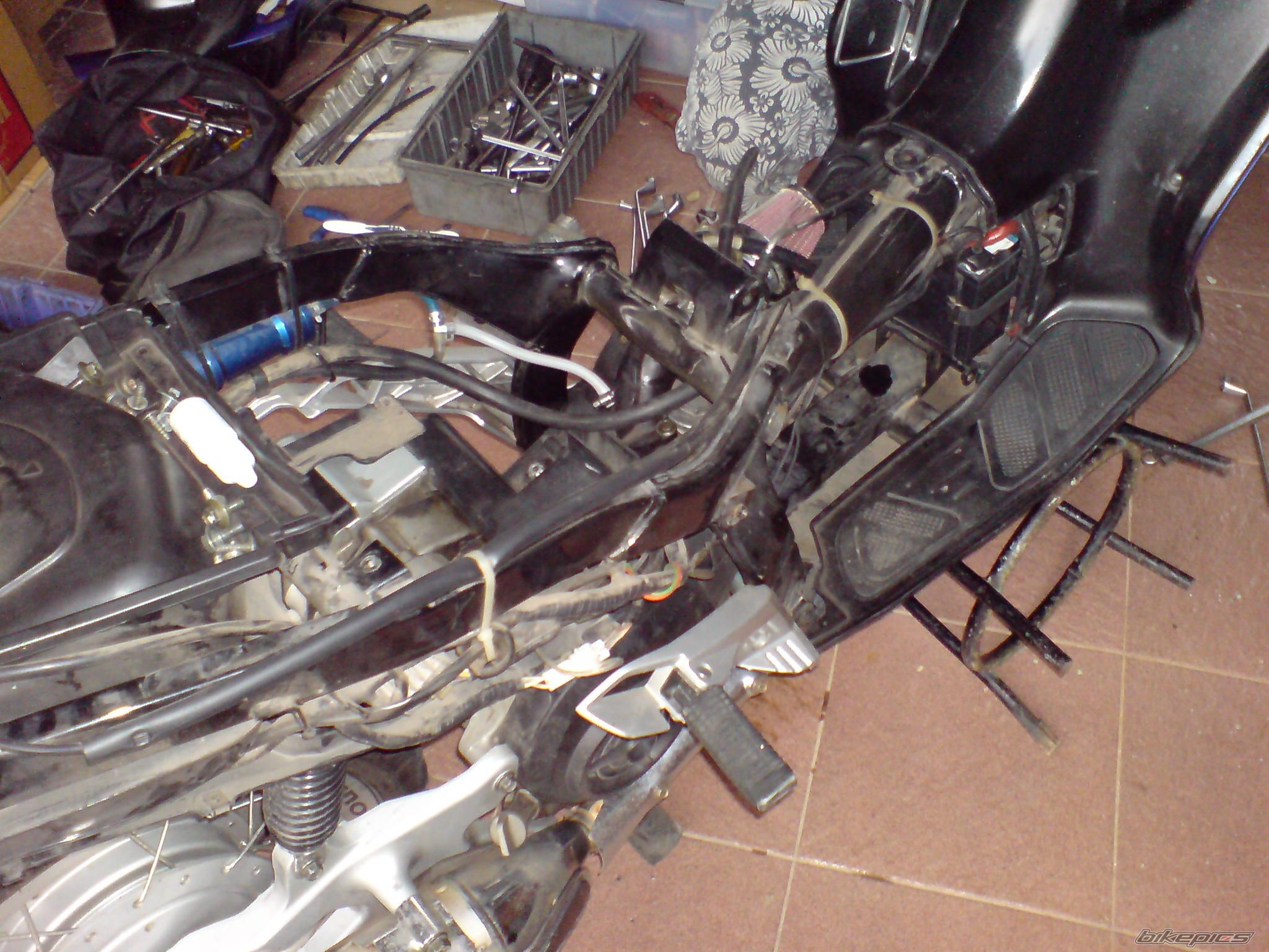 Bike Photo 1446613