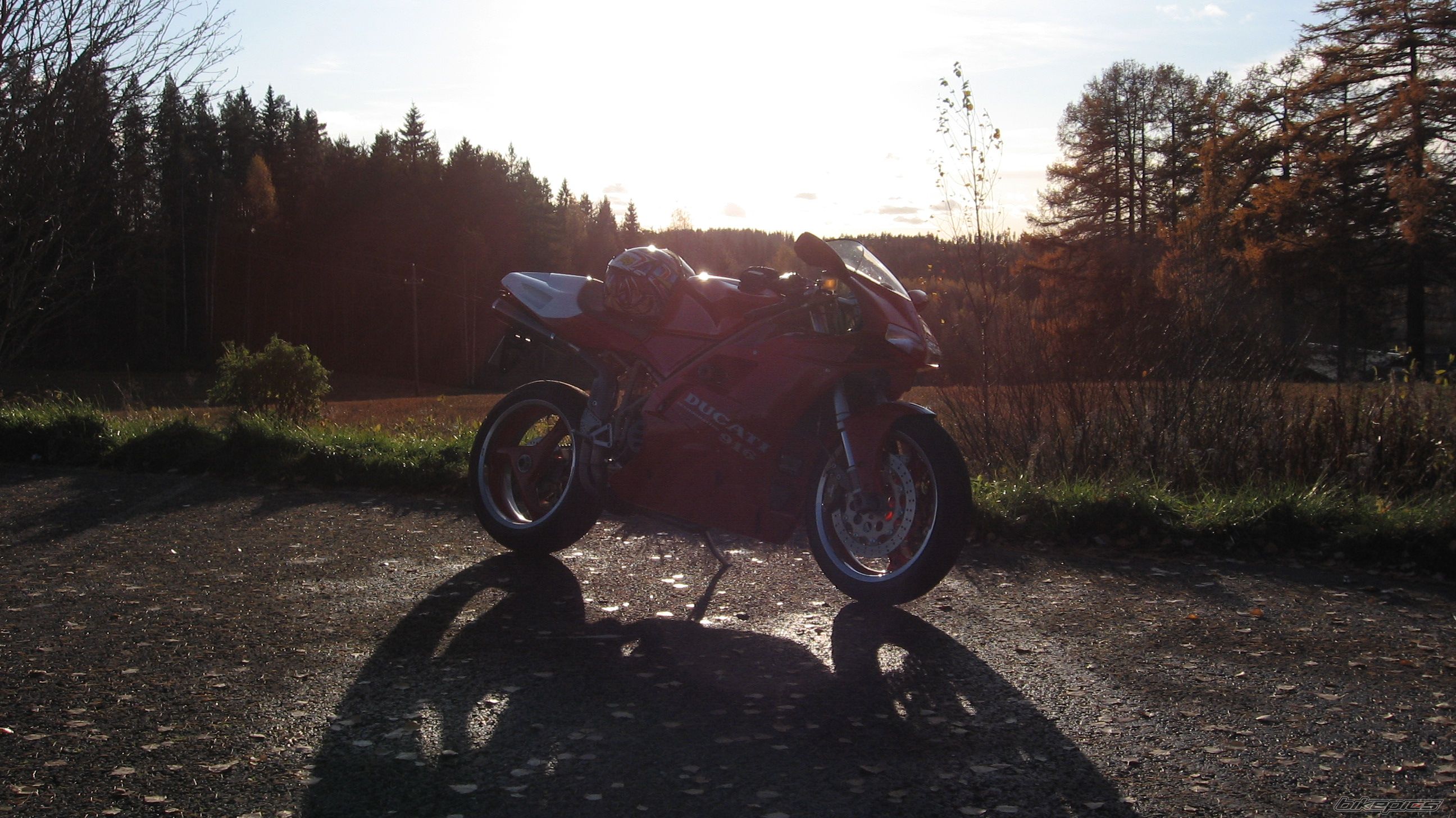 Photo 1446615