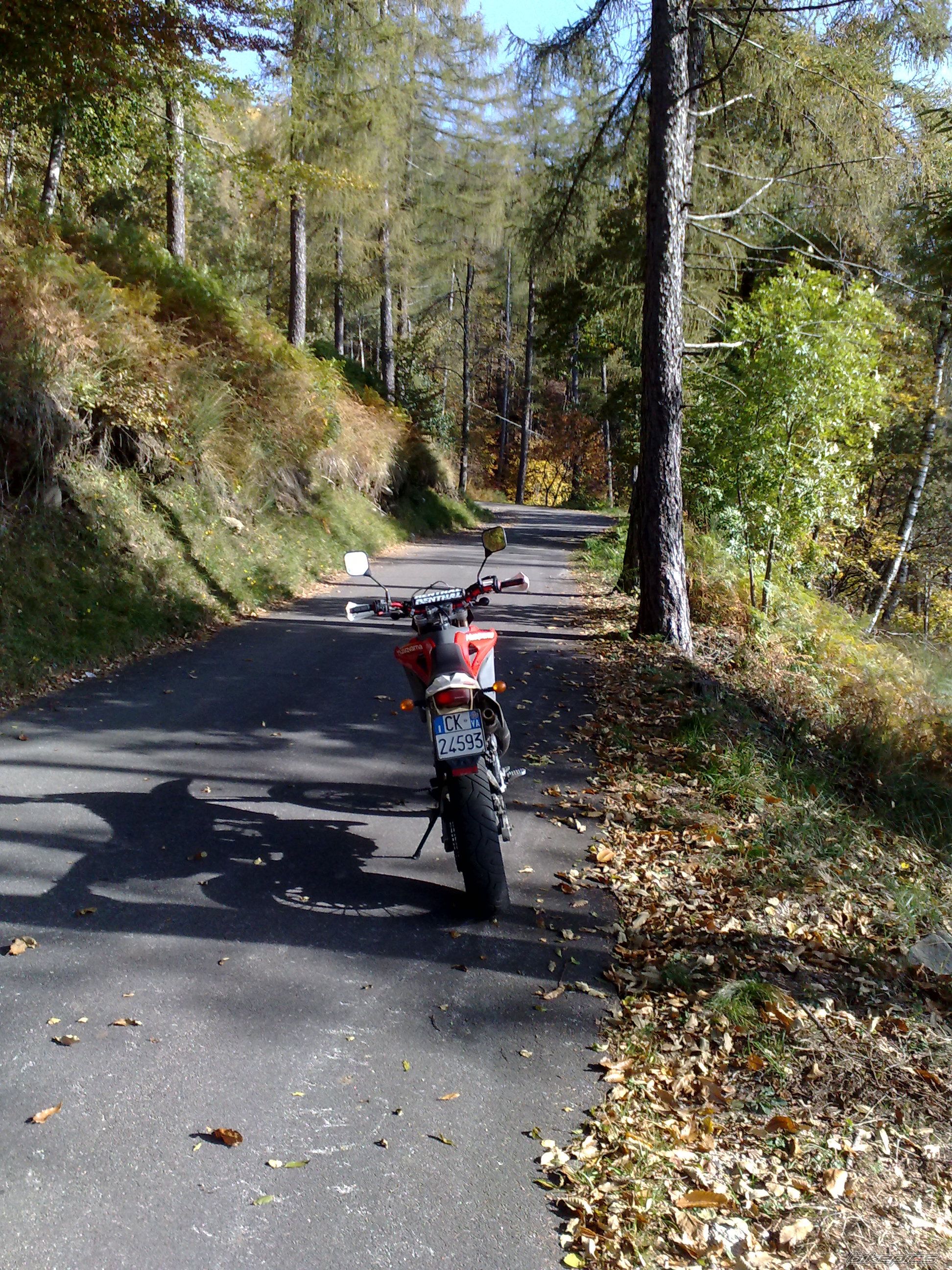Bike Photo 1446617
