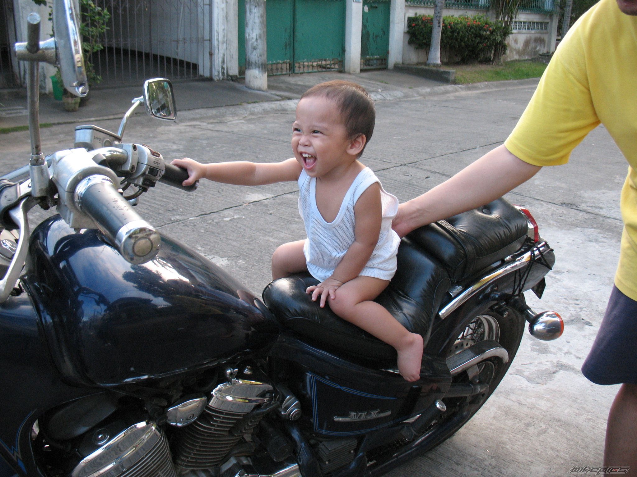 Photo 1446632