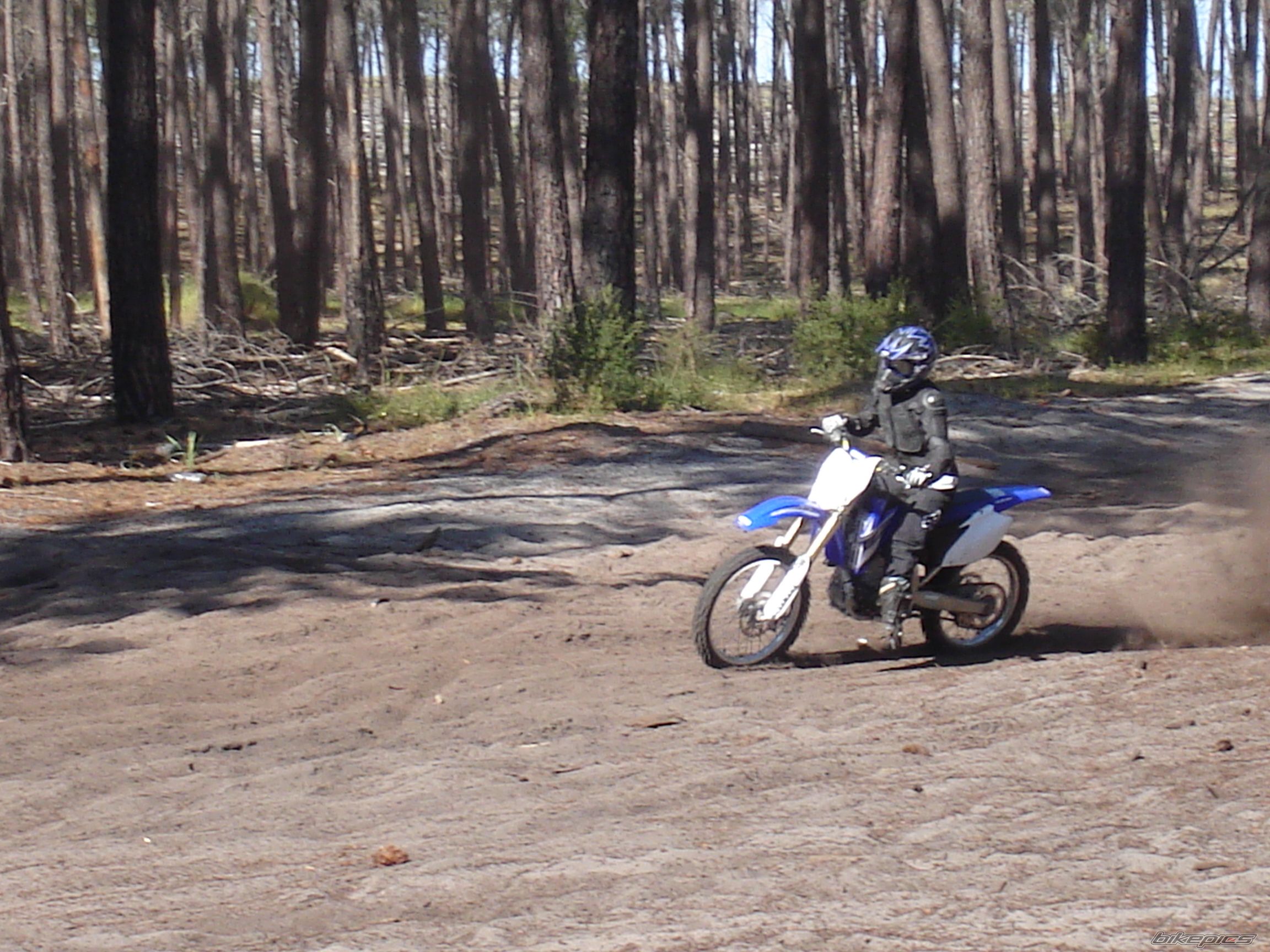 Photo 1446649