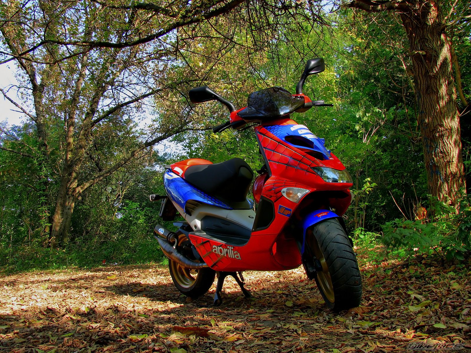 Bike Photo 1446663