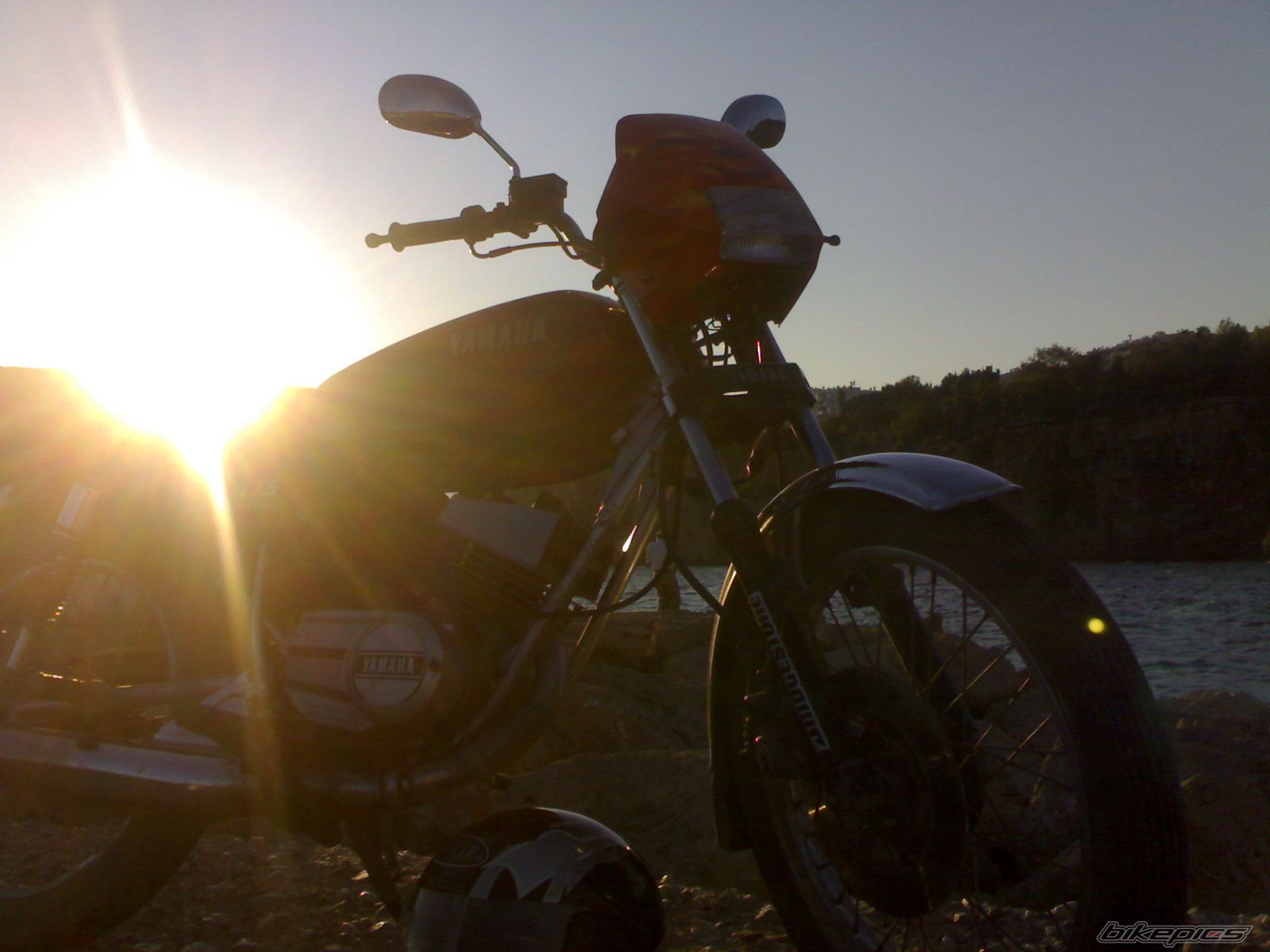 Photo 1446684