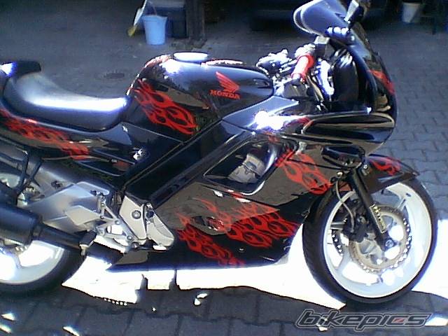 Photo 144671