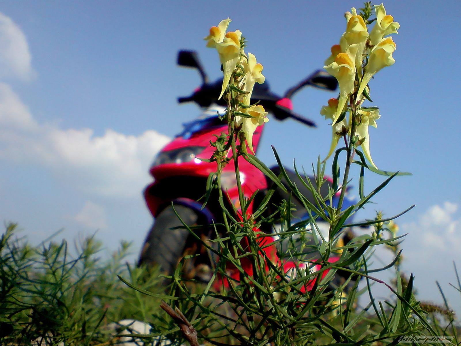 Photo 1446714