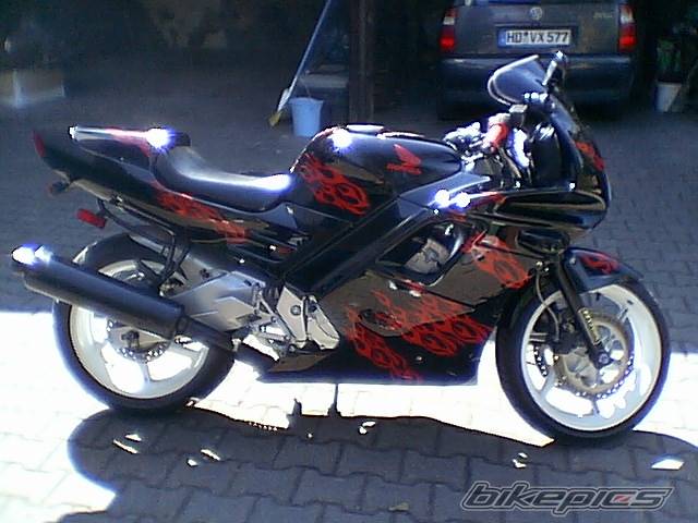 Photo 144672