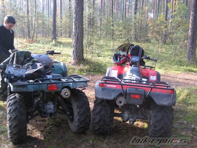 Photo 1446725