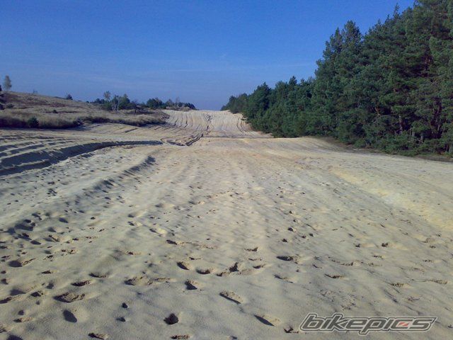 Photo 1446732