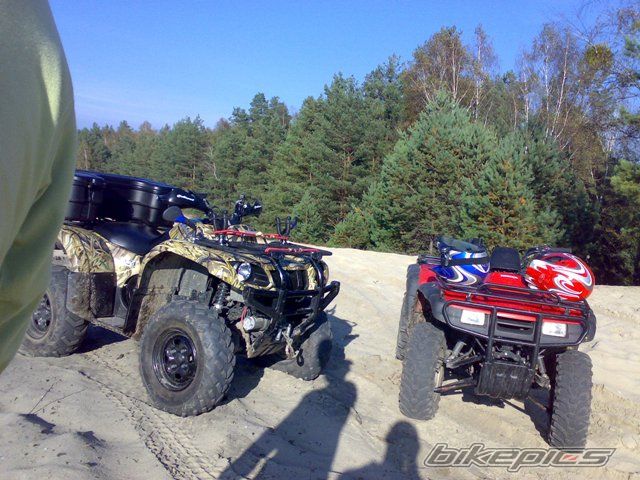 Photo 1446735