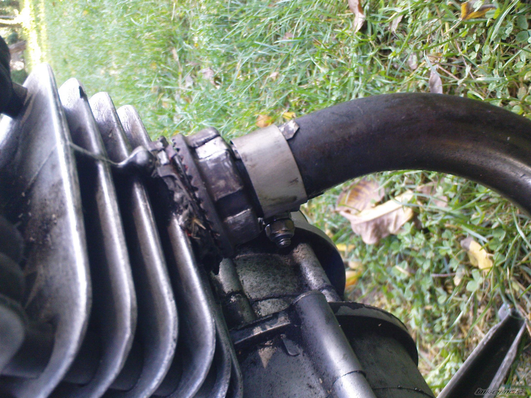 Photo 1446766