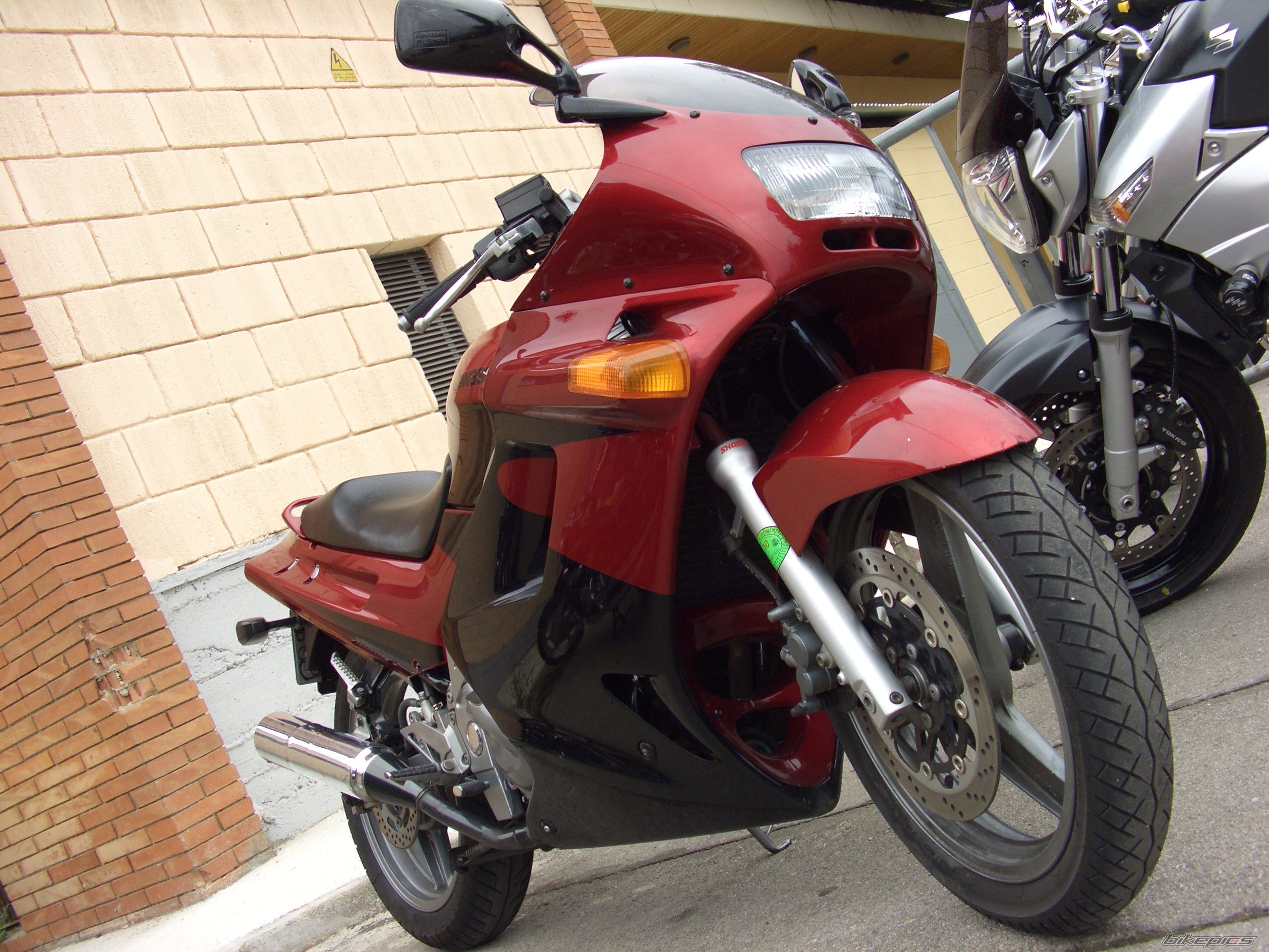 Photo 1446818