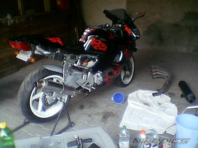 Photo 144682