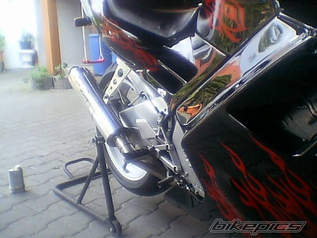 Photo 144684