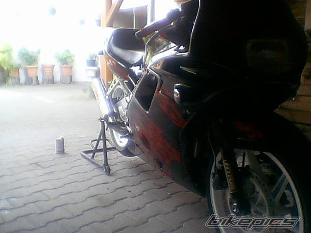 Photo 144685