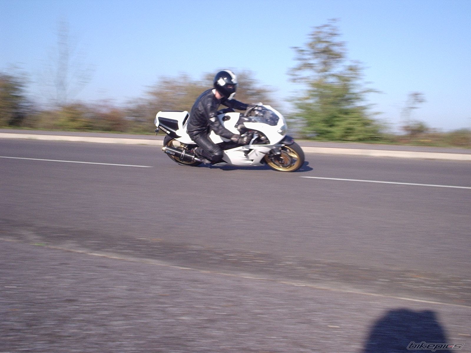 Bike Photo 1446850