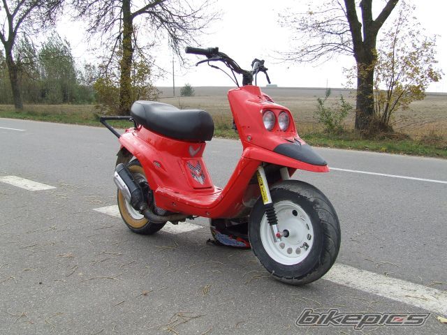 Photo 1446886