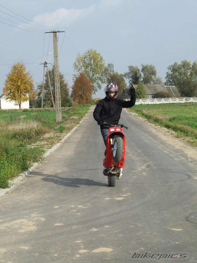 Photo 1446895