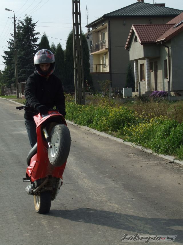 Photo 1446896