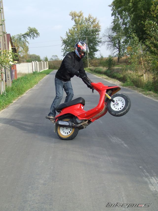 Photo 1446898