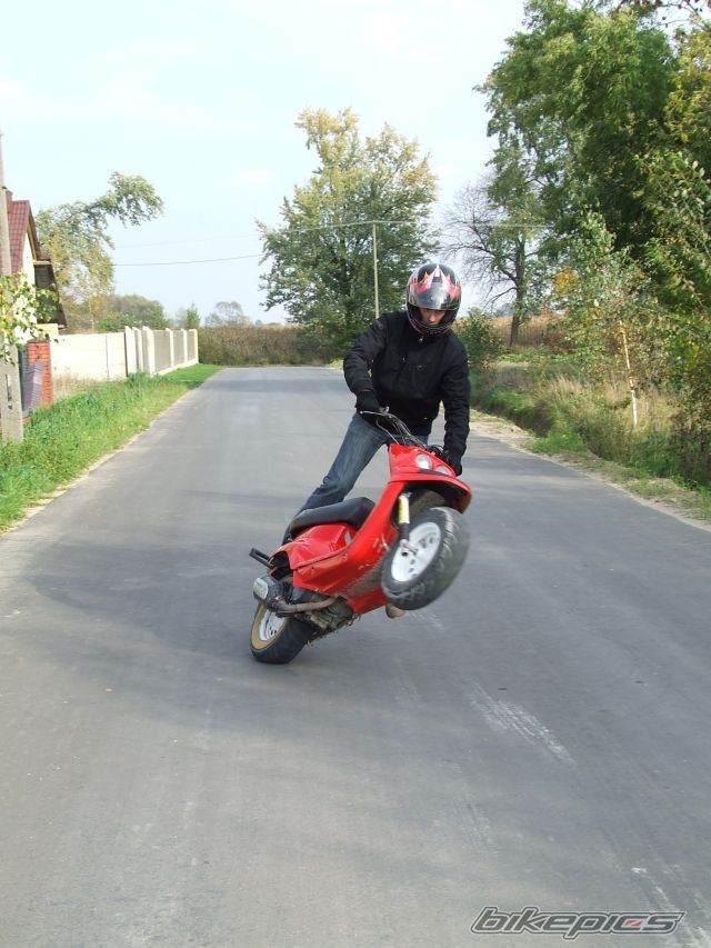 Photo 1446899