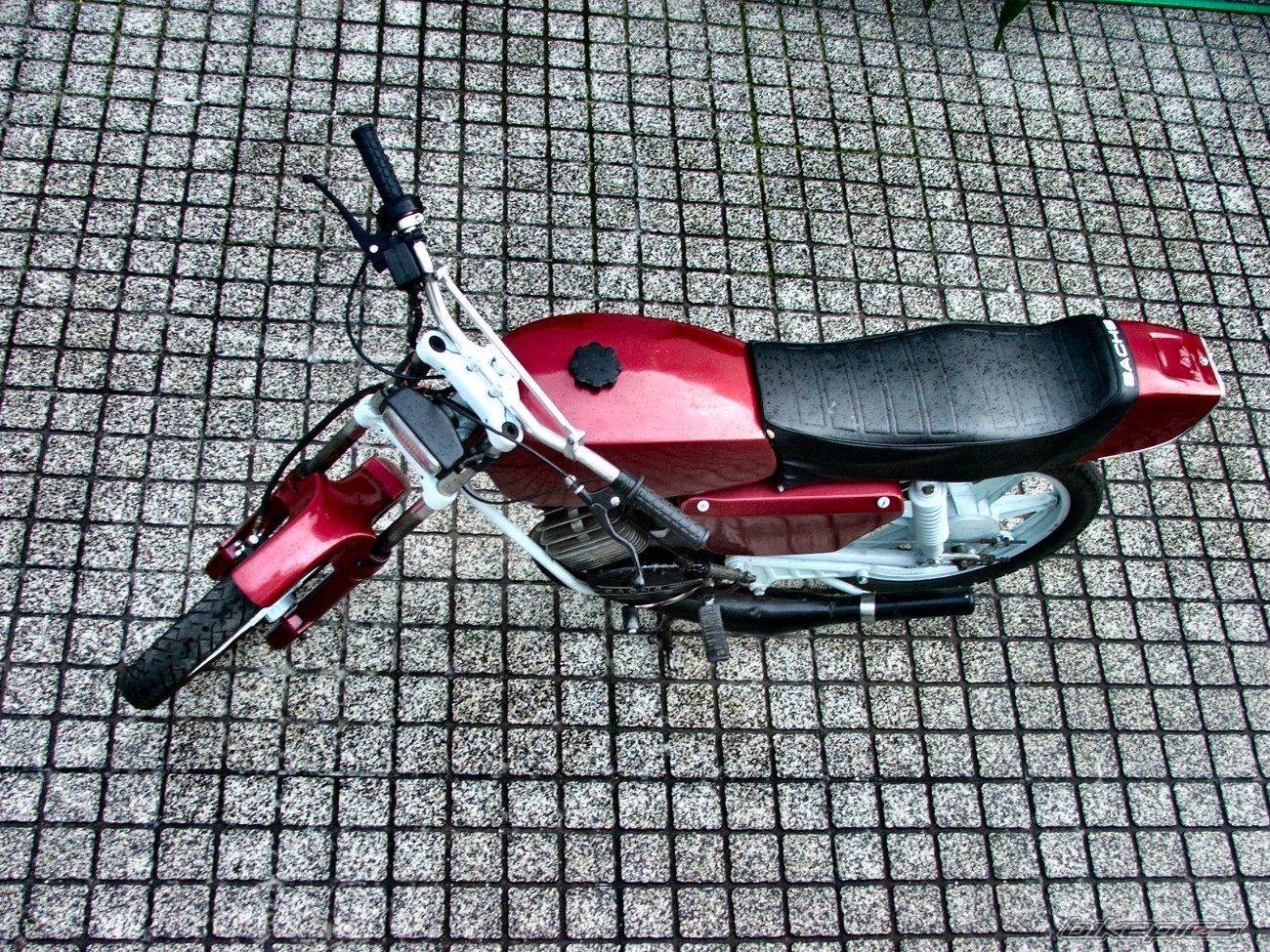 Photo 1446911