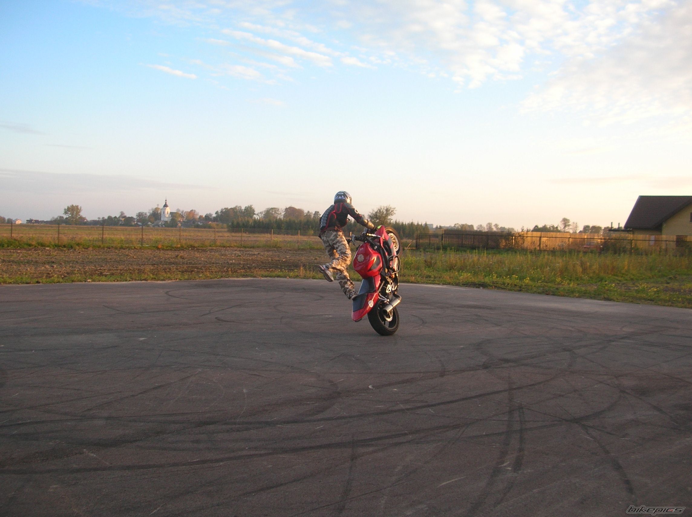 Photo 1446925