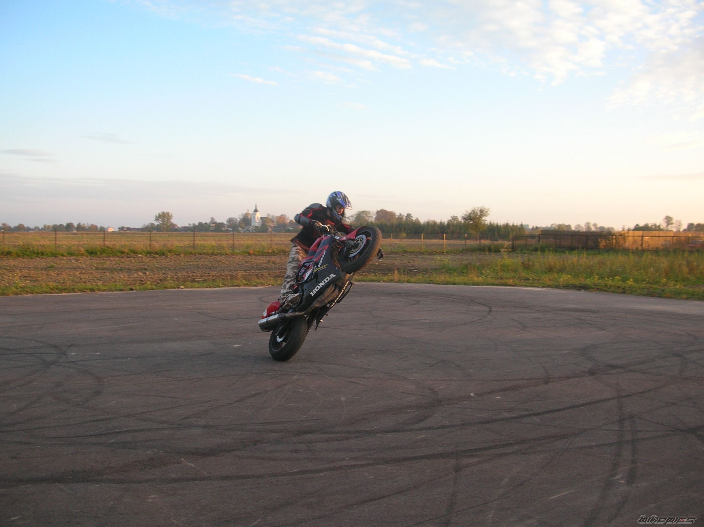 Photo 1446928