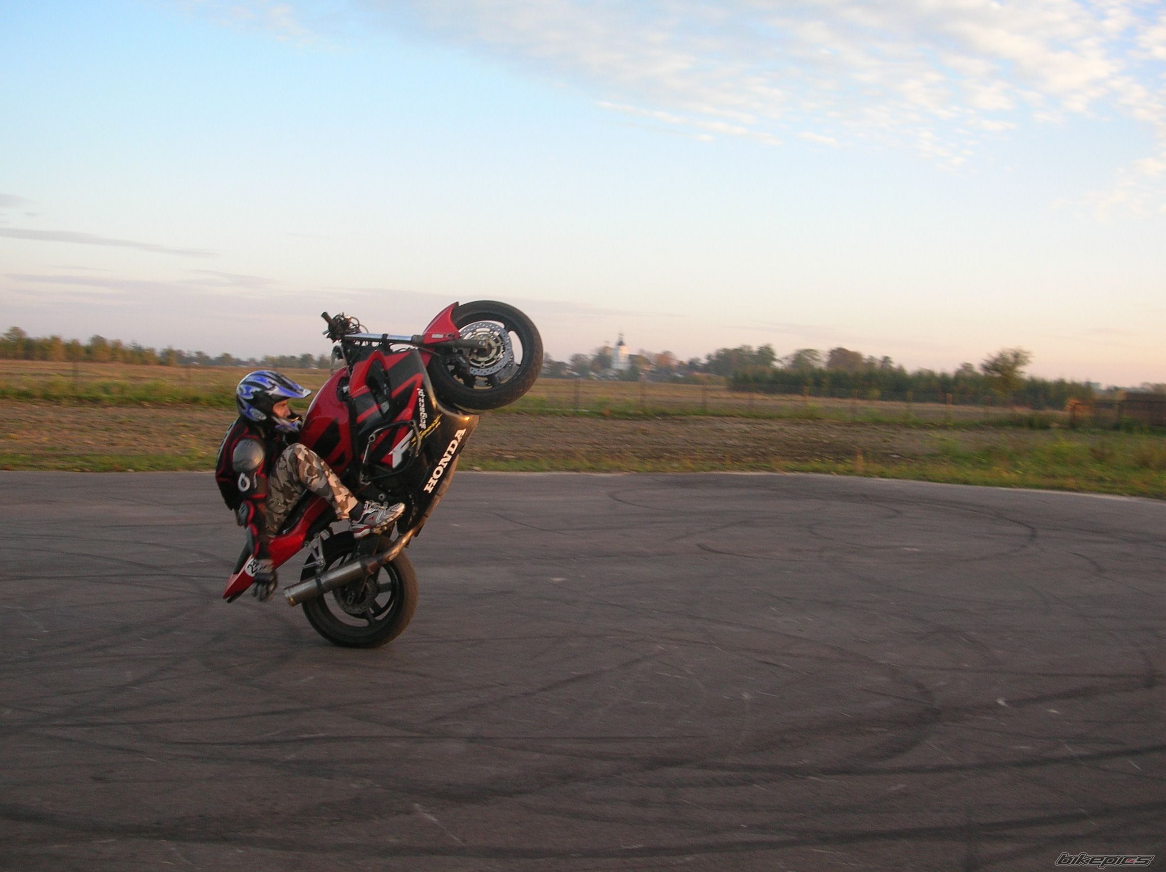 Photo 1446931