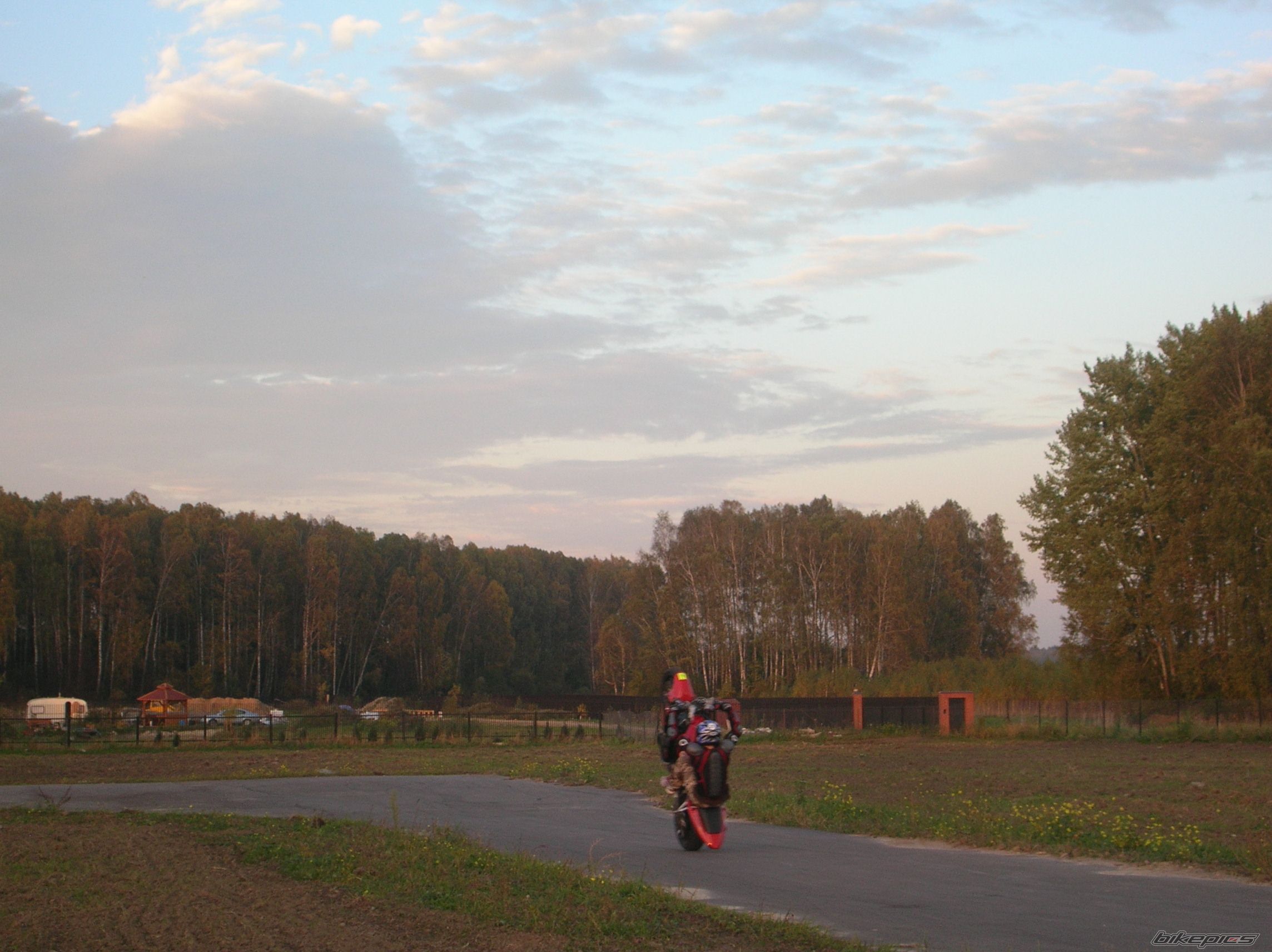 Photo 1446933
