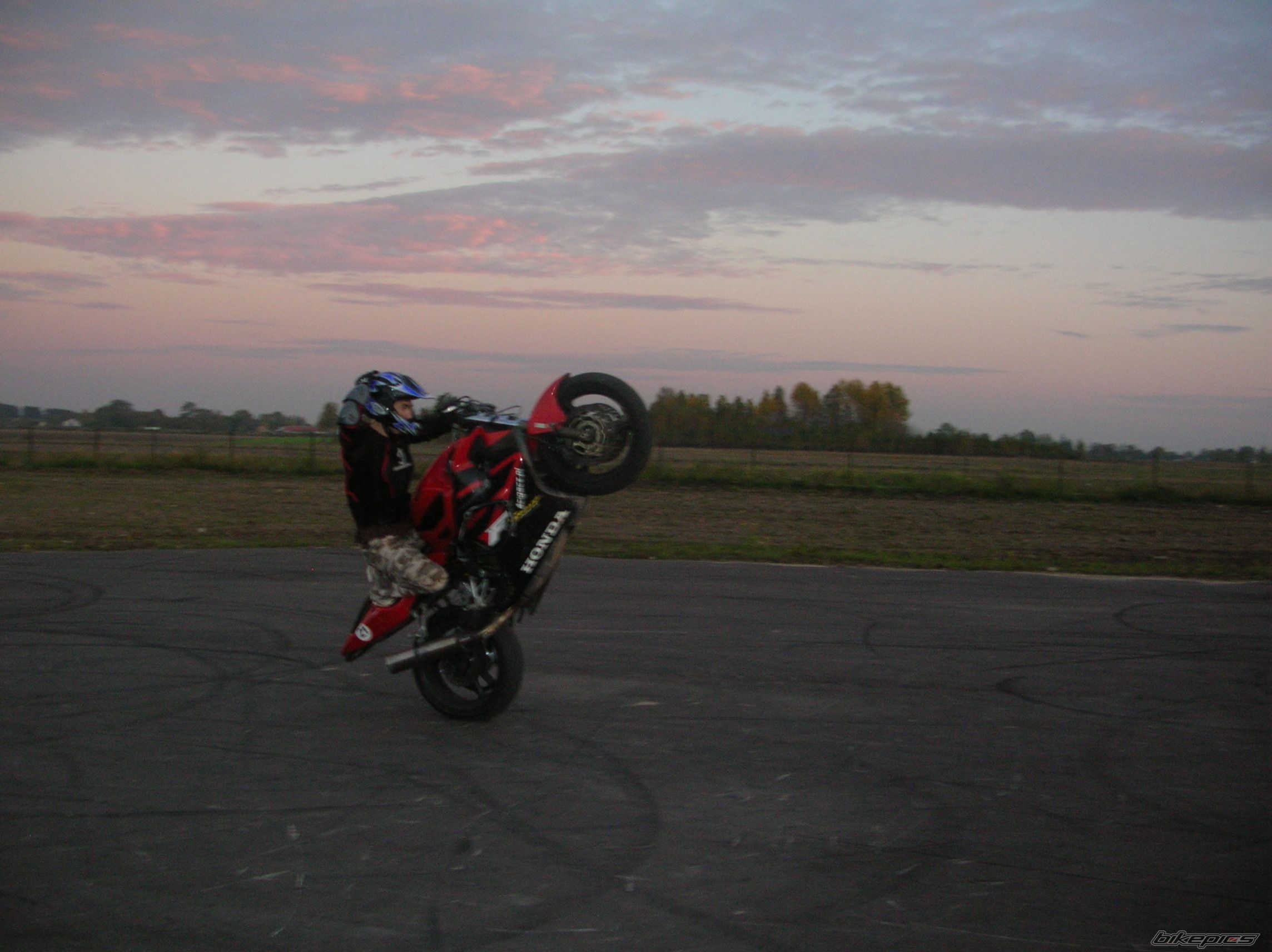 Photo 1446934