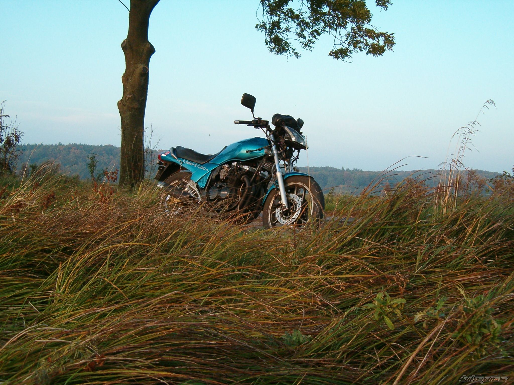 Bike Photo 1446935