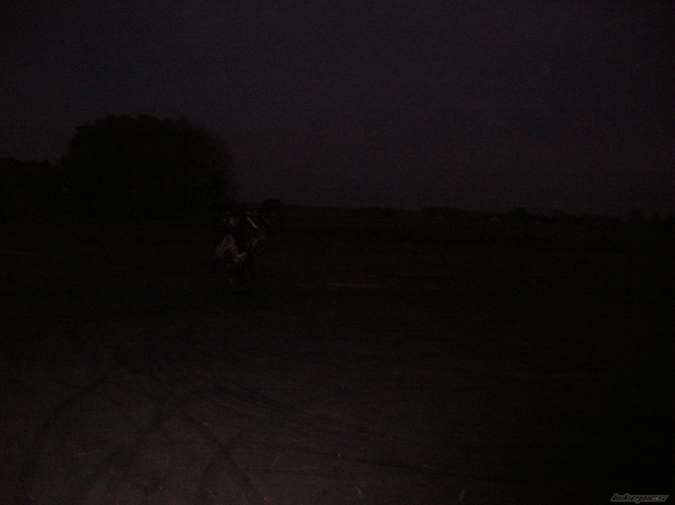 Photo 1446938